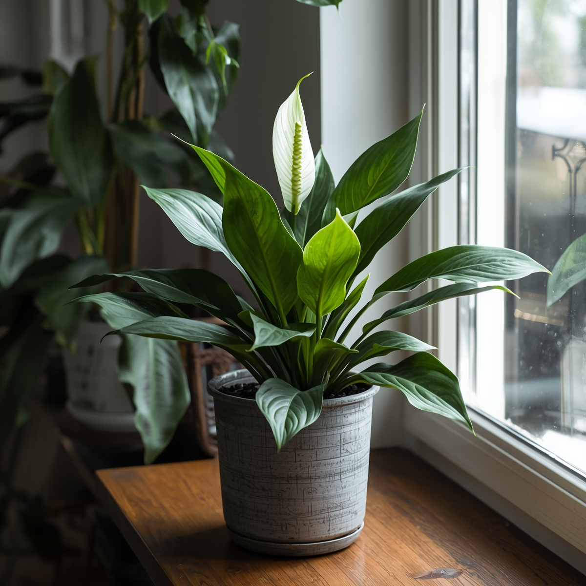 Plant styling example