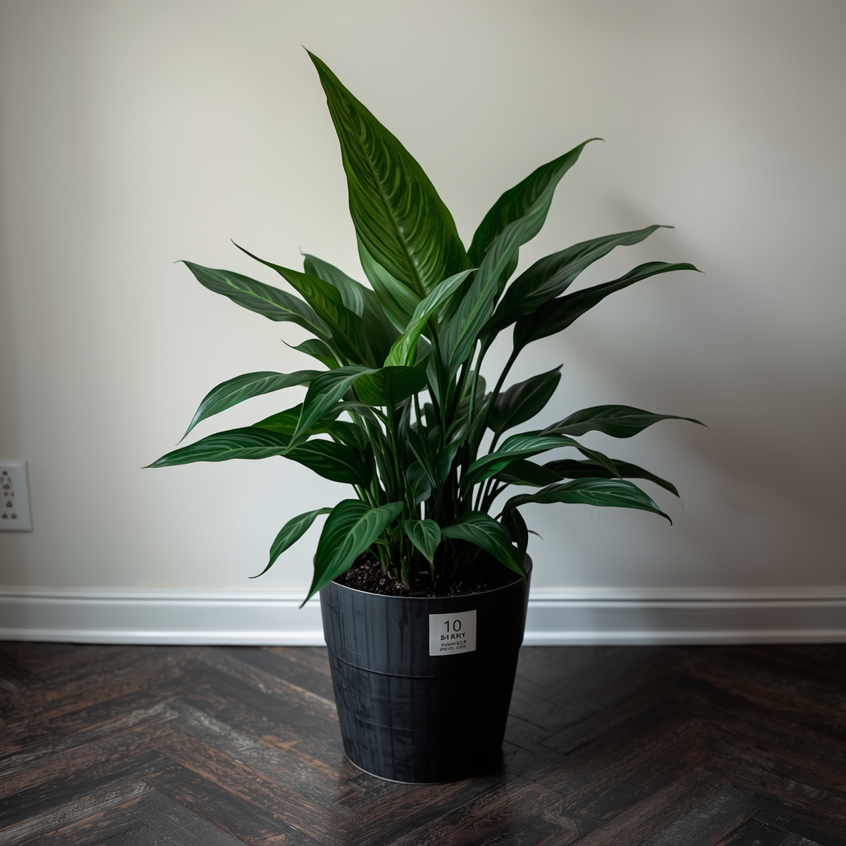 Plant styling example